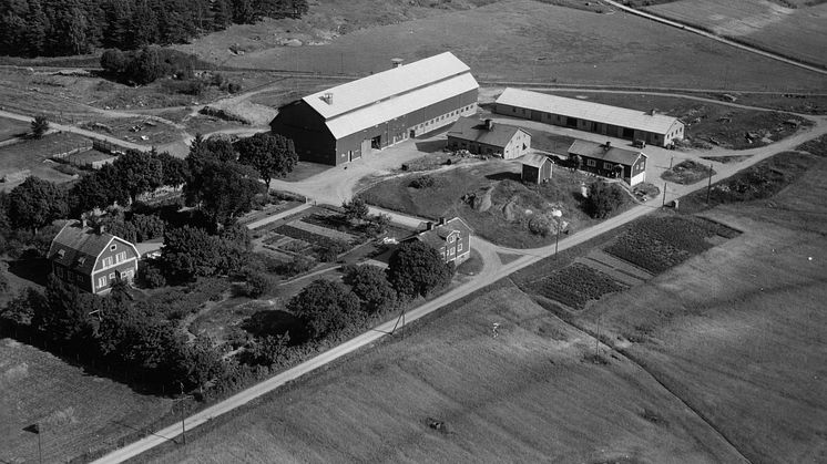 Tibble gård, 1949. 