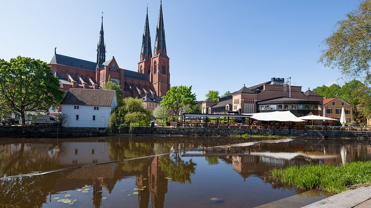Bengt Dahlgren etablerar sig i Uppsala