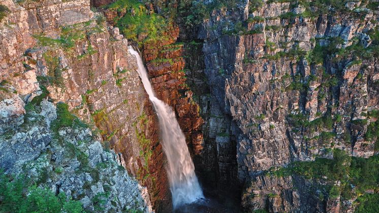 Sommarupplevelserna i Sverige du inte får missa