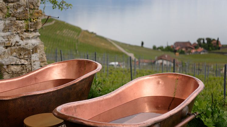 ST_3x2_La-Vigne-Swiss-Wine-Therapy_(c)PHOTO@CJD