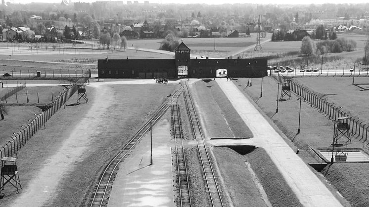 Auschwitz-Birkenau. Foto: Pavel Sawicki
