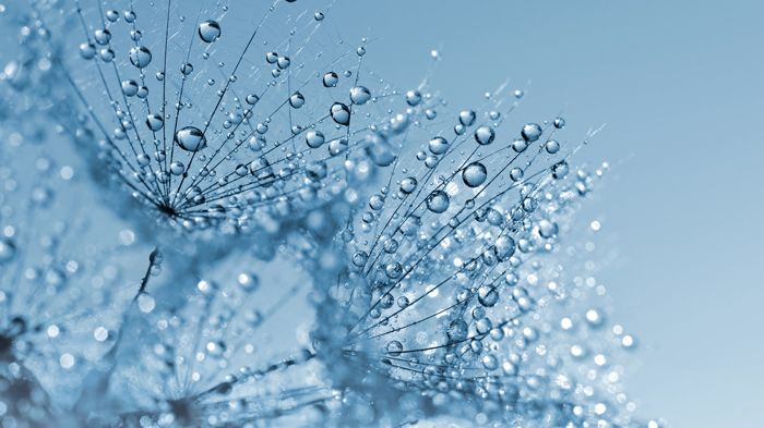 Glycerin. Bild: vencav | fotolia