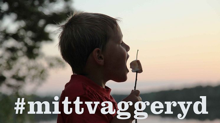 Pressmeddelande: Vinnarna i årets fototävling är utsedda
