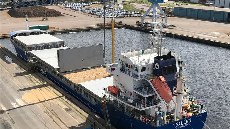 Malt från Viking Malt på väg ut i världen