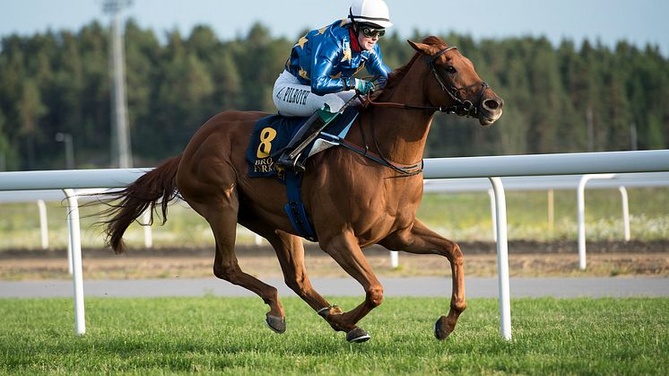 Anna Pilroth vinner ett lopp på Bro Park. Foto: Elina Björklund/Svensk Galopp