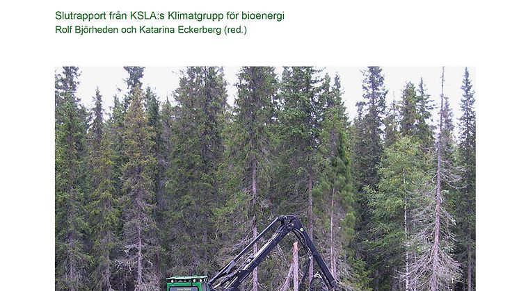 2024-04-KSLAs-Bioenergigrupp-Slutrapport.jpg