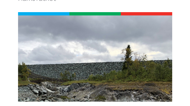 Rapport Veterinærinstituttet 2020_Tungmetaller i slam nedstrøms dam i Namsvatnet.pdf