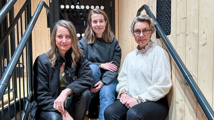 Ett samarbete över länsgränserna. Fr vänster Johanna Blylod Piteå Science Park, Josefin Lundberg Skellefteå Science City och Mona Sundin Bizmaker.