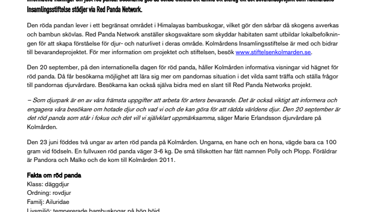 Kolmården uppmärksammar internationella dagen för röd panda