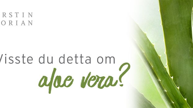 Visste du detta om aloe vera?
