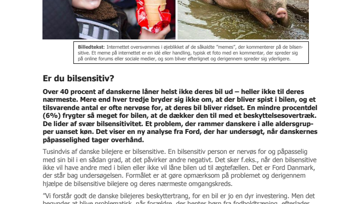 Er du bilsensitiv?