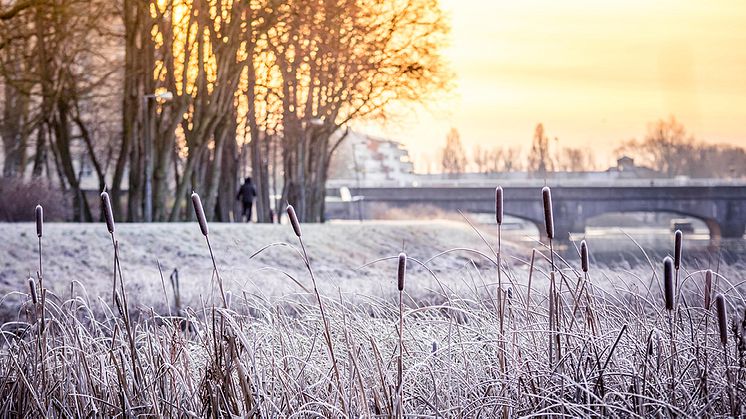 Nya elnätsavgifter från januari 2022
