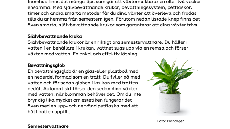 NYHETSBREV - Så får du växterna att överleva semestern.pdf