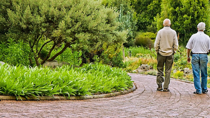 EXPERT COMMENT: Walking can relieve leg pain in people with peripheral artery disease