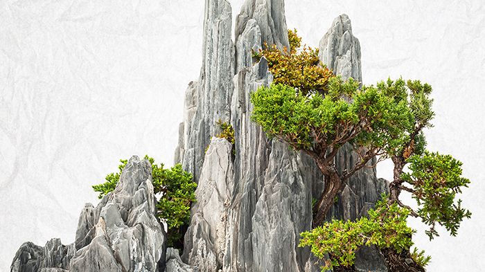 Tuschmåleri inom bonsai och hur man skapar man en idealbild av naturen