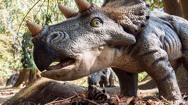Knuthenborg Safaripark:  Dinosaurier-Wald - Triceratops2