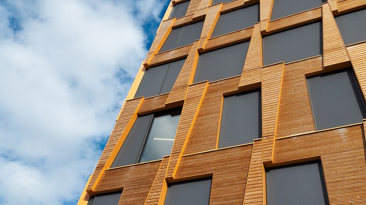 Foto: Anders Vestergaard Jensen/Unsplash