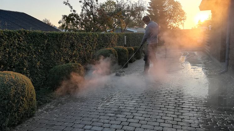 Lun start på året giver flisepesten forspring: Sådan holder du den nede