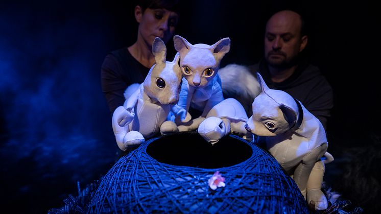 Husdjursföreställningen / Marionetteatern