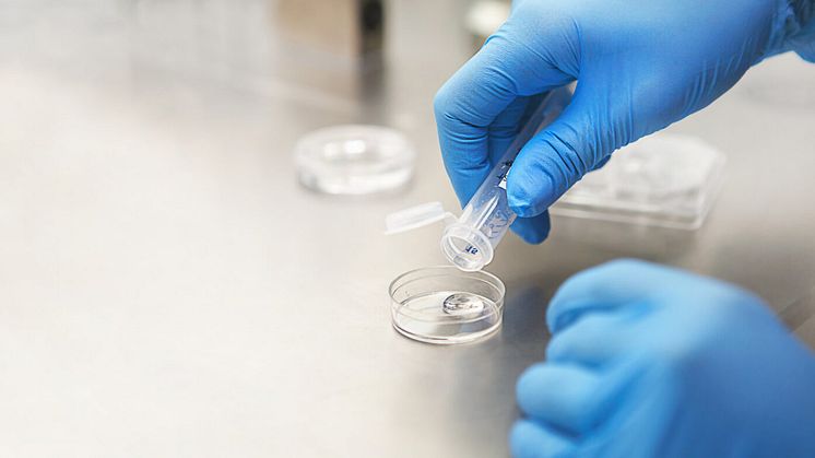 Antibiotikans påverkan på bakterier i avloppsvattnet undersöks