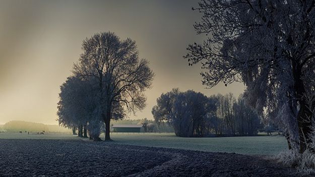 Vi säkerställer att den förorenade marken saneras