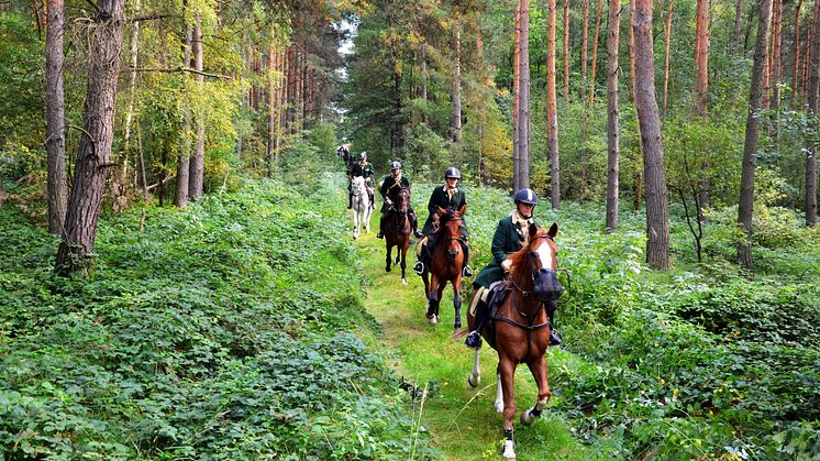 Schleppjagd durch den Wermsdorfer Wald