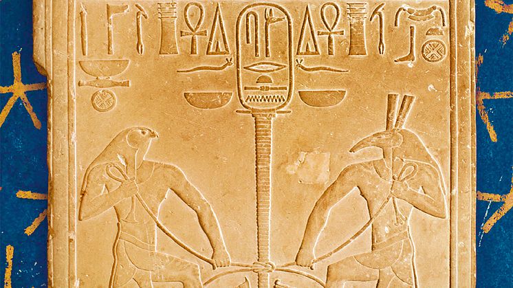 VamG Lotus und Papyrus