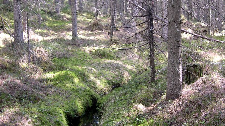 Balsjöbäcken