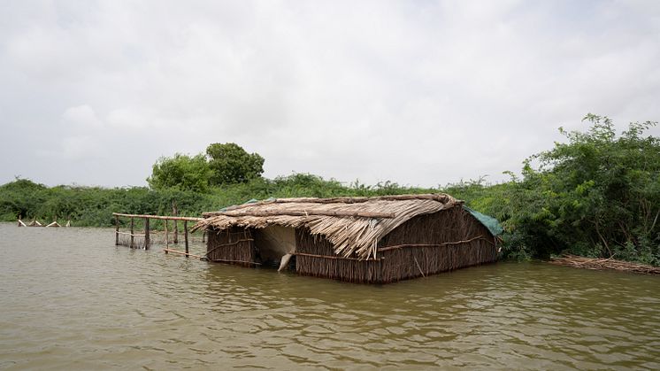 DSC01504