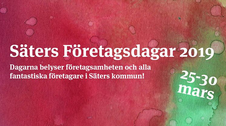 Säters företagsdagar 2019