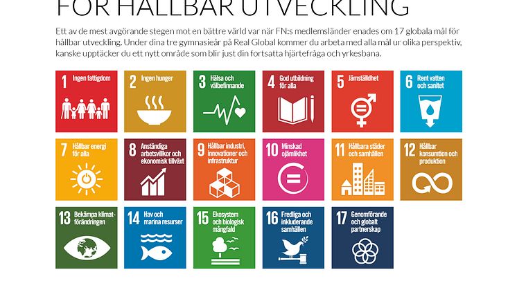 Real Global är Sveriges första gymnasieskola där utbildningen baseras på FN:s 17 Globala mål för hållbar utveckling.