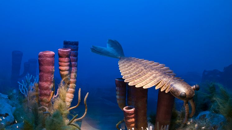 Fossil och evolution - miljöbild från kambrium