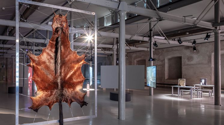 Signe Johannesen mfl, Installationsfoto Färgfabriken