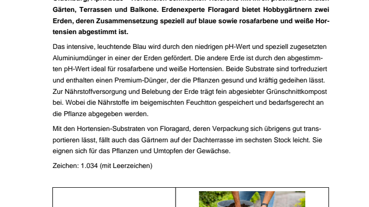 Floragard_Hortensien pflanzen.pdf