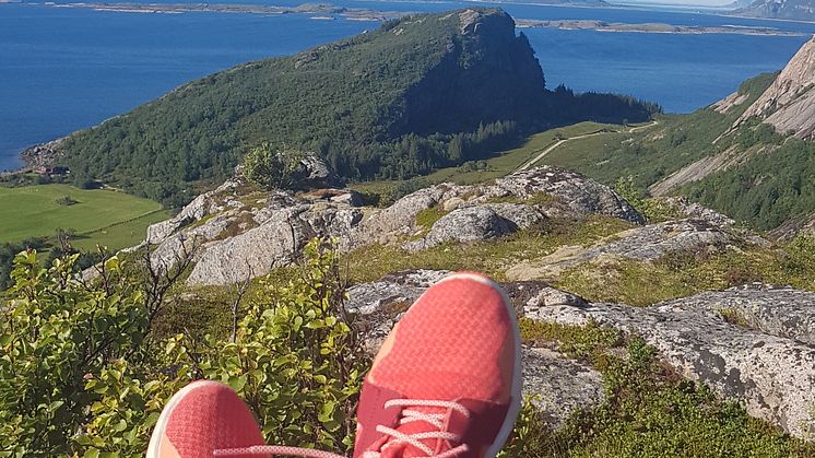 Hjärnkoll Stockholms verksamhetschef Lou Rehnlund mår bäst i naturen