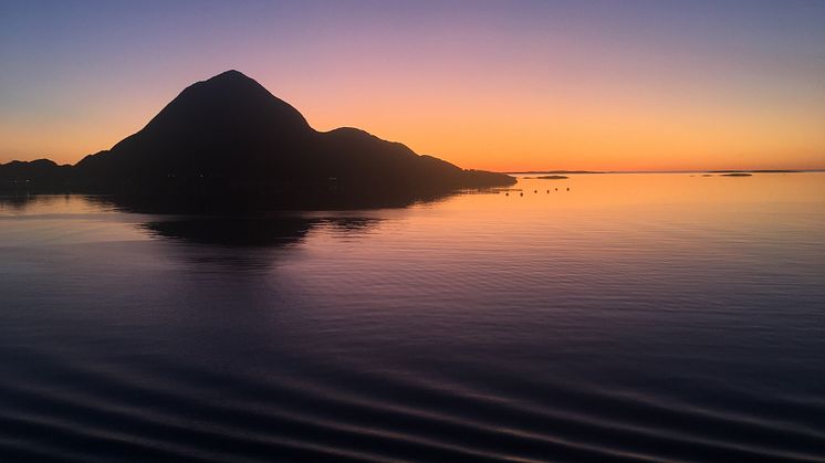 Midnight Sun