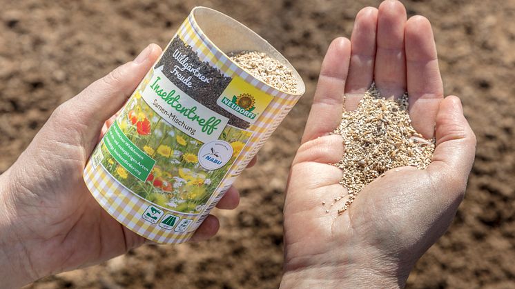WildgärtnerFreude „Insektentreff“ enthält eine vielfältige Saatgutmischung vor allem für nützliche Insekten. Dazu zählen der Wiesensalbei ebenso wie die Nesselblättrige Glockenblume und der Färber-Waid.