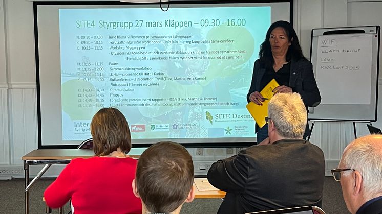 Styrgruppsmöte 27 mars 