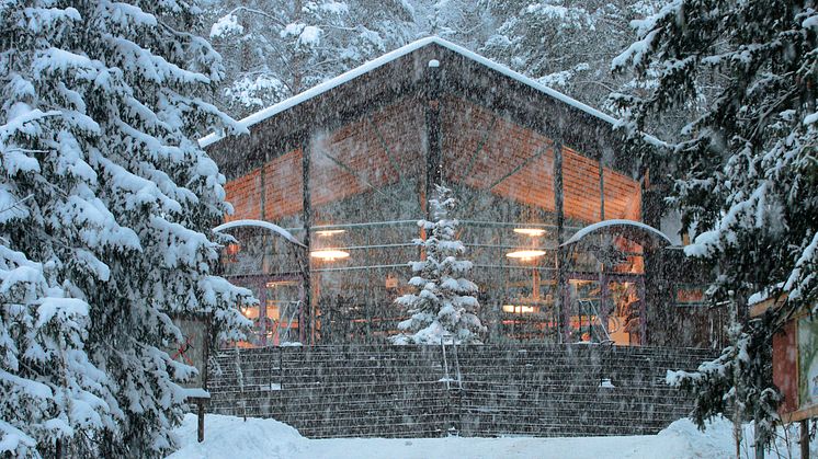 Entre Vinter