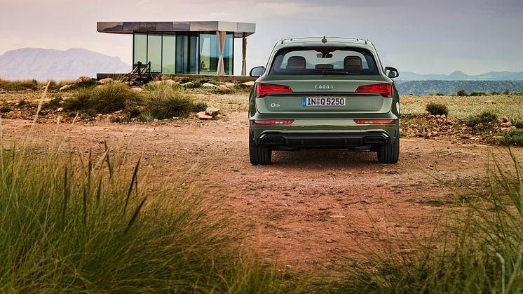 Audi Q5 2020 (Distriktgrøn)