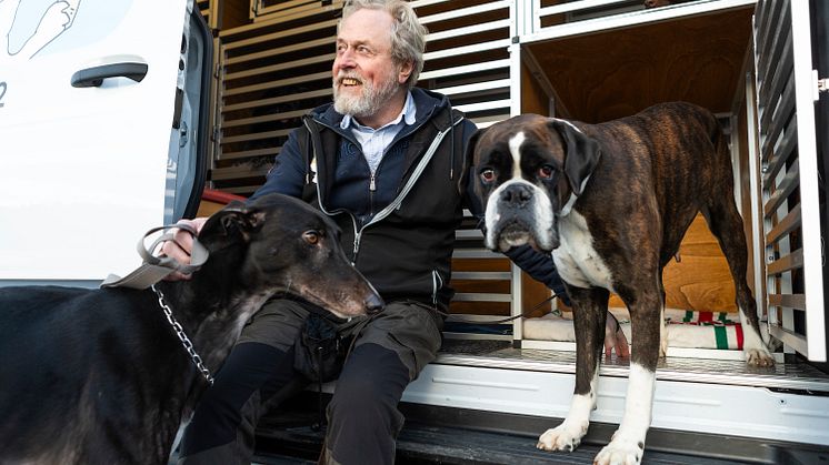 eSprinter Hundtaxi