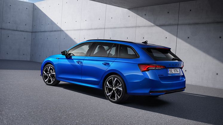 Octavia Sportline FL 2024