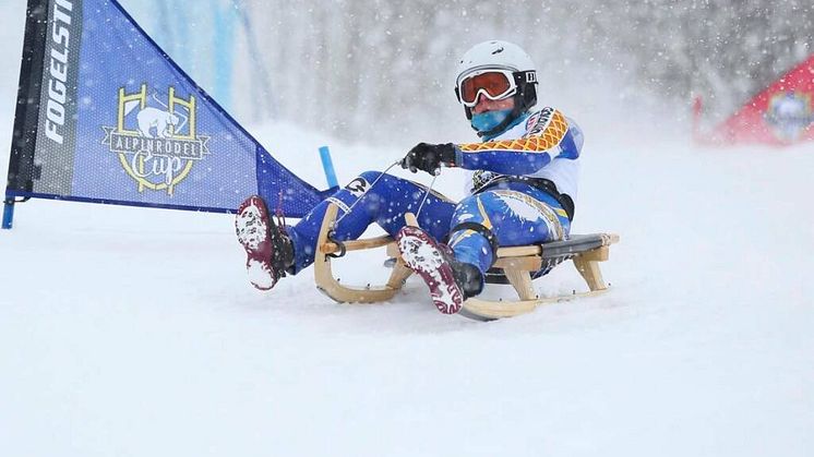 Foto: Bildbyrån/Riksidrottsförbundet