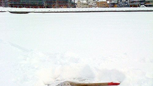 Gynnsam issituation inför SM i Yukigassen