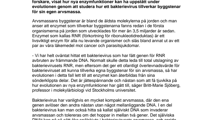 Ny upptäckt om hur arvsmassans byggstenar tillverkas