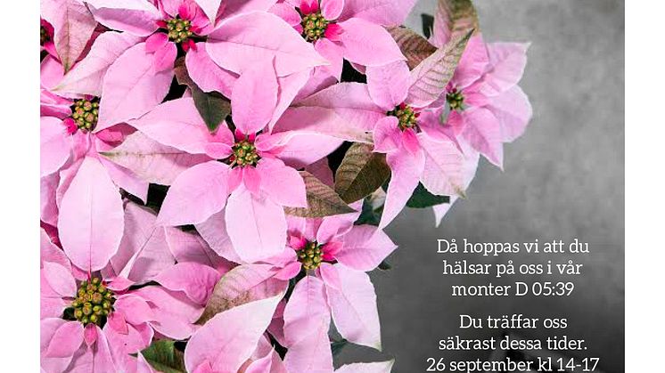 Besök oss på Elmia Garden!