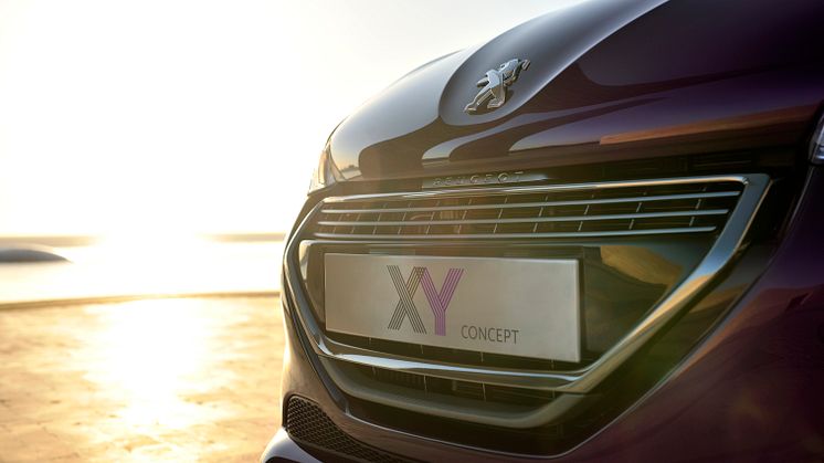 208 XY Concept - Exklusiv och urban