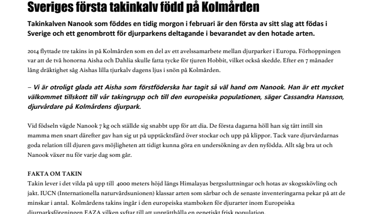 Sveriges första takinkalv född på Kolmården 