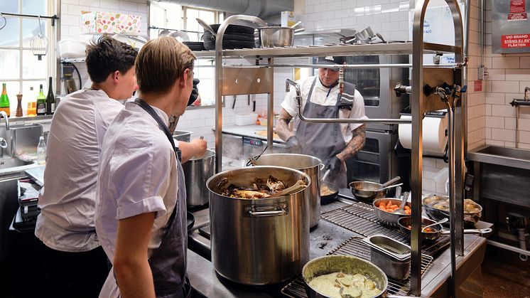 Buckeye Kitchen Mister monterad i köksmiljö