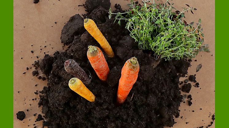 Sustainable Sundays